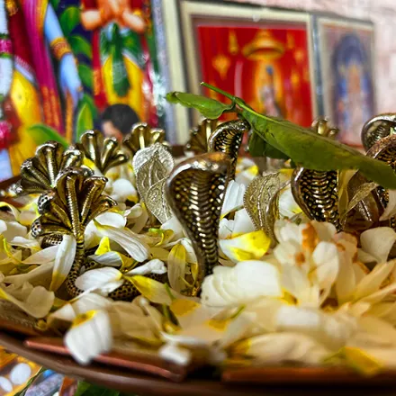 नारायण नागबली पूजा त्र्यंबकेश्वर