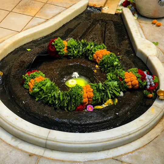 पंडित विनय गुरुजी  त्र्यंबकेश्वर